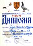 Click with mouse to Diploma-YUTS-Fajdetic!
